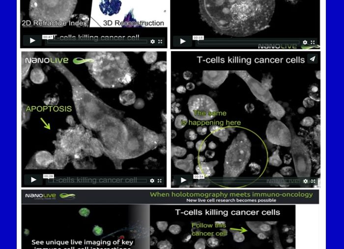 Nanolive – Immuno-Oncology