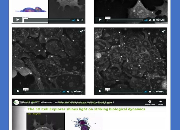 Nanolive – Stem Cell Research
