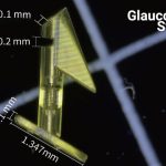 WEBINAR – Introduction to Microfabrication using Projection Micro Stereolithography