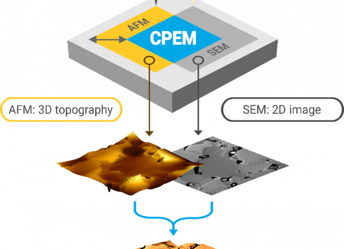 WEBINAR – AFM-in-SEM – True correlative sample analysis with the LiteScope – Recording