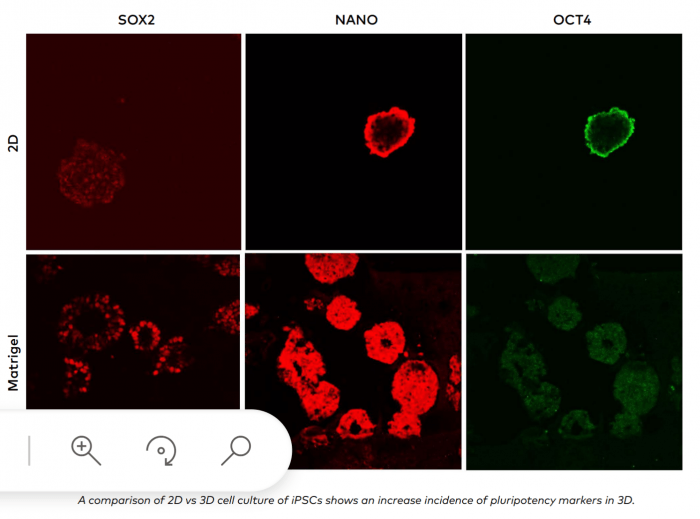 Cellink - regenerative medicine enabled by bioprinting