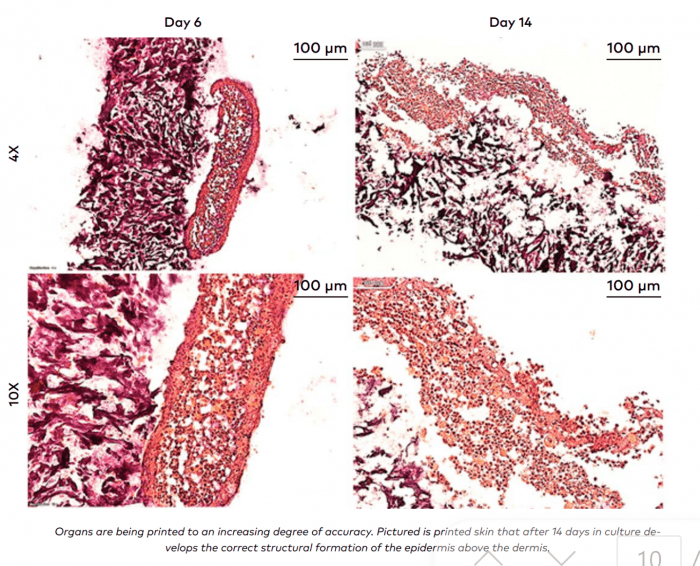 Cellink - tissue engineering enabled by bioprinting