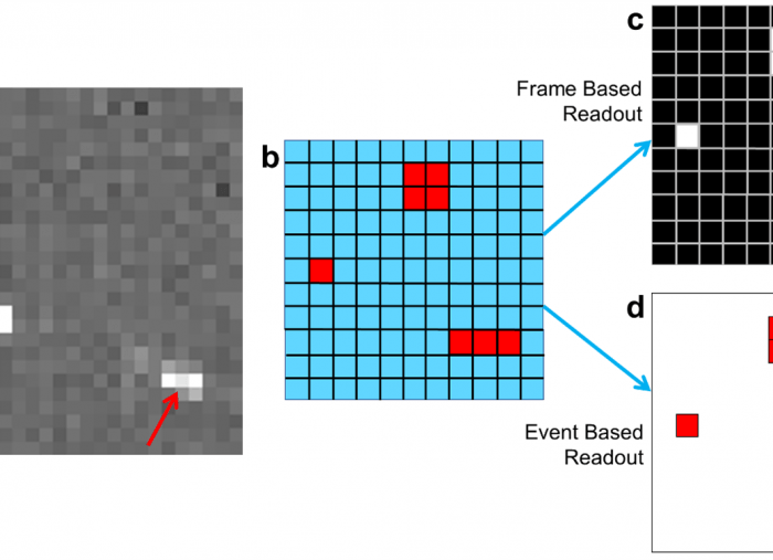 The Apollo Event-Based Detector for Transmission Electron Microscopy