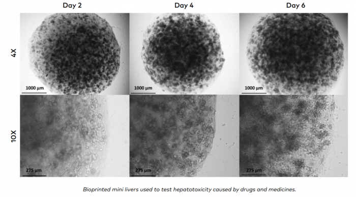 Cellink - Drug Discovery and Disease Modeling enabled by bioprinting