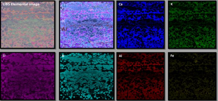 Elemission high resolution high speed element maps