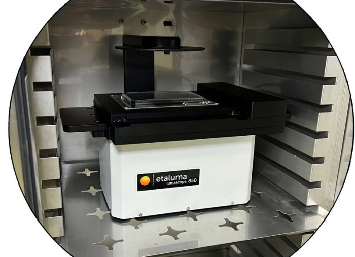 Etaluma Launch 800 Series Microscopes for Live Cell Imaging inside Incubators