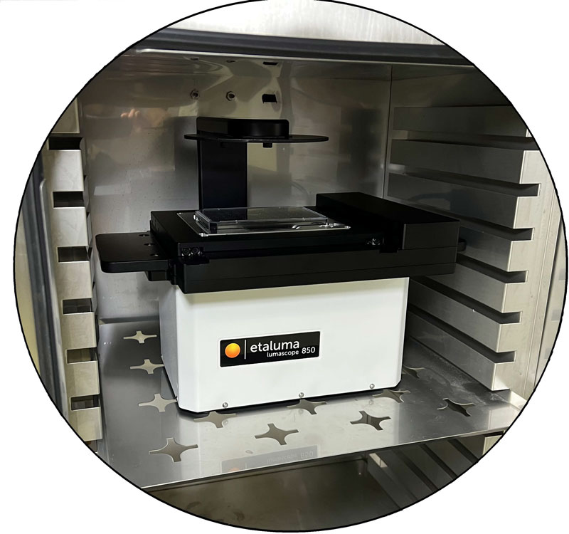 The new Etaluma LS850 compact inverted microscope for live cell imaging inside incubators
