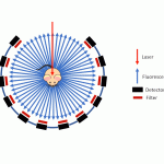 FLECT – Fluorescence Emission Computed Tomography for Preclinical Imaging