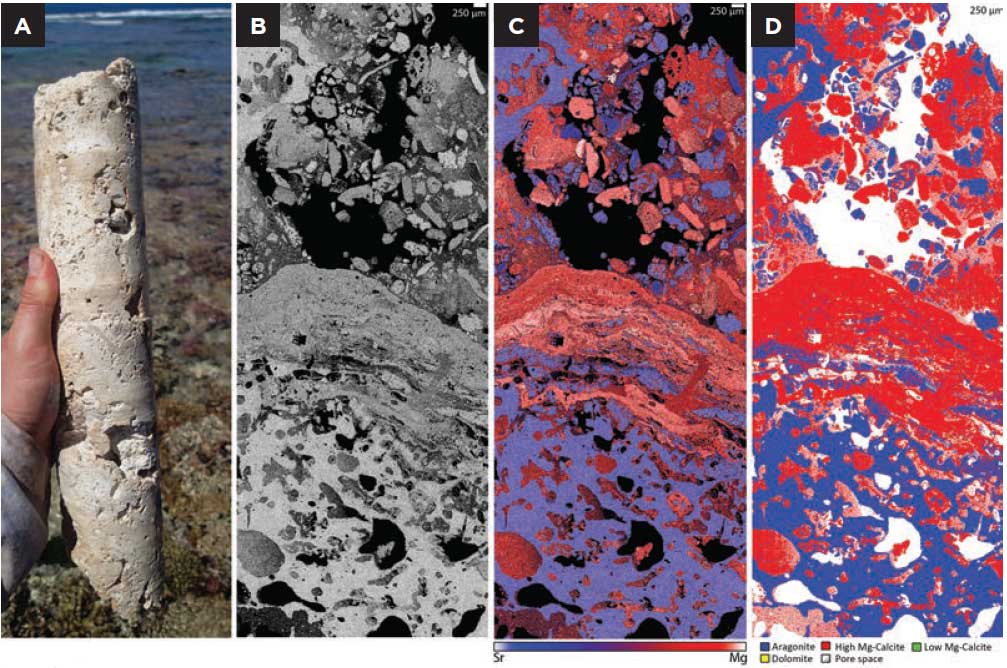 Heron reef sampes ananlysed using the TESCAN TIMA automated mineralogy system