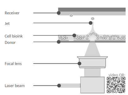 laser assisted bioprinting schematic - poietis