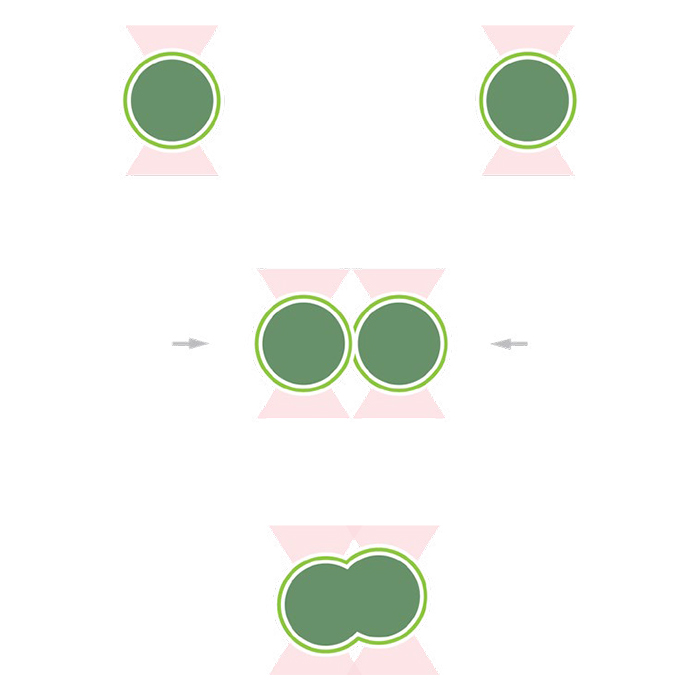 Lumicks phase separation of proteins using optical tweezers