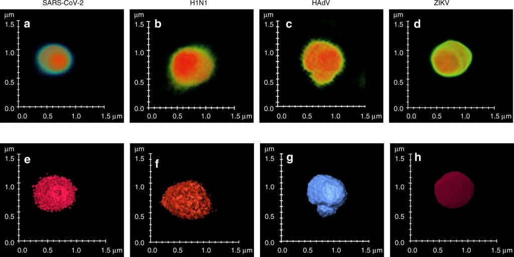 3D tomograms of various viral particles detected by the SLIM with AI including detecting COVID-19 using light microscopy