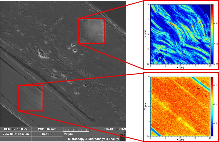 Figure 3. Poassium distribution in biotite. as determined by ToF-SIMS integrated into a TESCAN Ga FIB-SEM