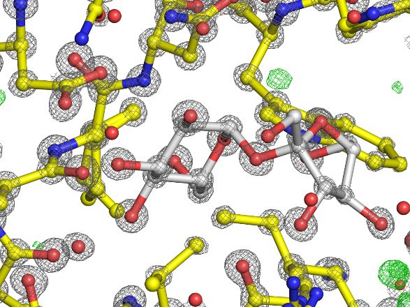 Hybrid Photon Counting Detectors for Crystallographers