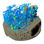WEBINAR – Dynamic 4D Computed Tomography in Materials Engineering