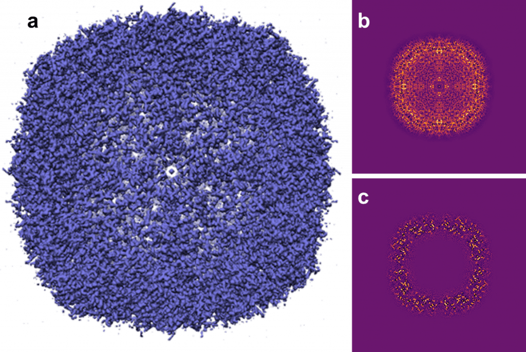 Apoferritin resolved to 1.46 angstroms