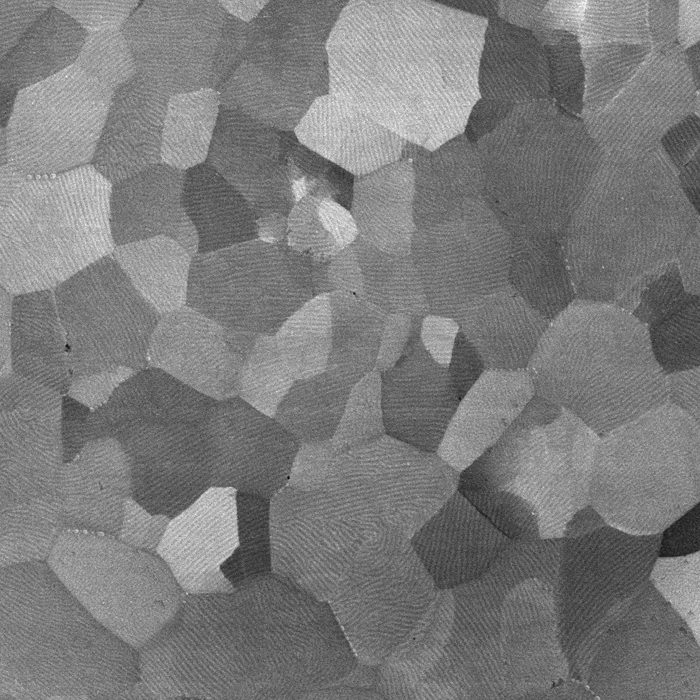 EBSD image taken inside a TESCAN CLARA FEG SEM