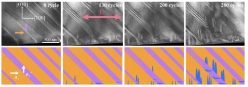 Electron microscopy images show the degradation in action obtained using a DENSolutions Lightning in situ TEM platform. Credit: University of Sydney