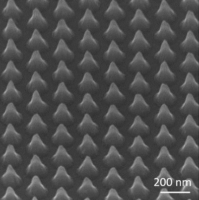 Cicada-inspired nanopillars fabricated by EBL. Example of bio-insprired titanium nanopillars fabricated using EBL. Base diameter 148.6 ± 4.7 nm, top diameter 21.05 ± 3.6 nm, centre to centre distance 205.9 ± 4.7 nm, aspect ratio 2.35 ± 0.1): 45 degree tilt.