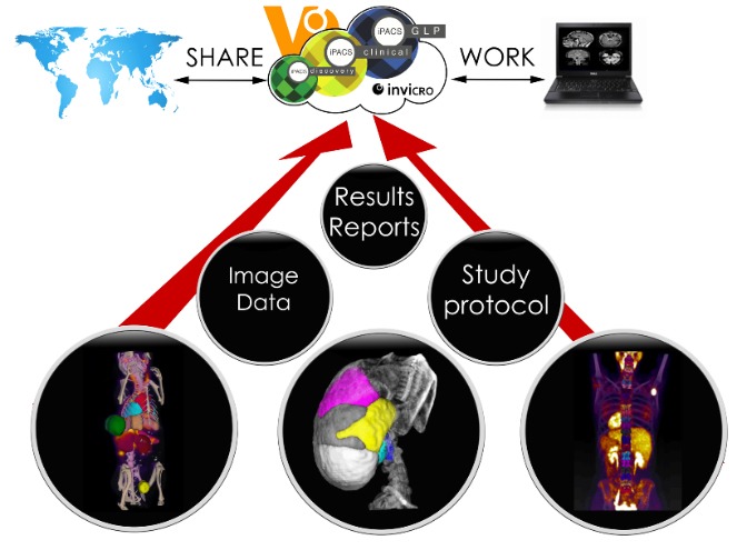 invicro software platforms for data management in translational research and preclinical imaging