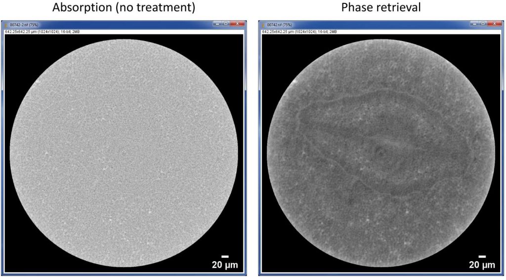 Computed tomography microCT of a pansy seed and the benefits of phase retriveval.