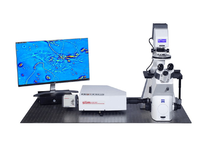 Label-Free Evaluation of Cell Viability Using PICS