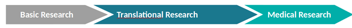 Poietis laser assisted bioprinting stsrems have the potental to be used across the entire scale of research areaa.