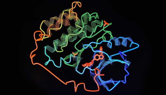 Extracellular Vesicles (EV) – Characterisation Using Super-Resolution Microscopy